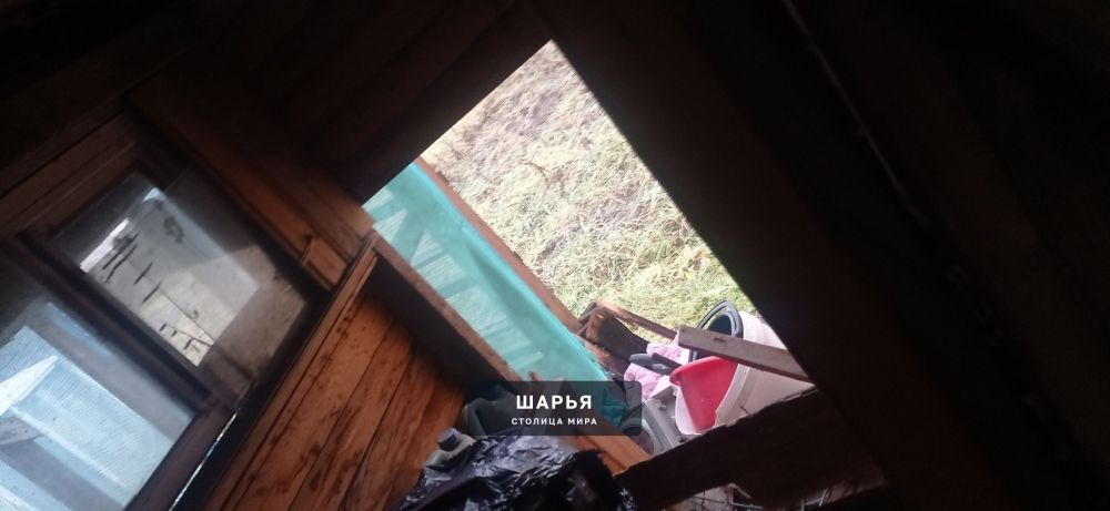 Добрый вечер! Приехала сегодня проверить дачный домик в Михалкино, взять некоторые вещи — Шарья — фото 2