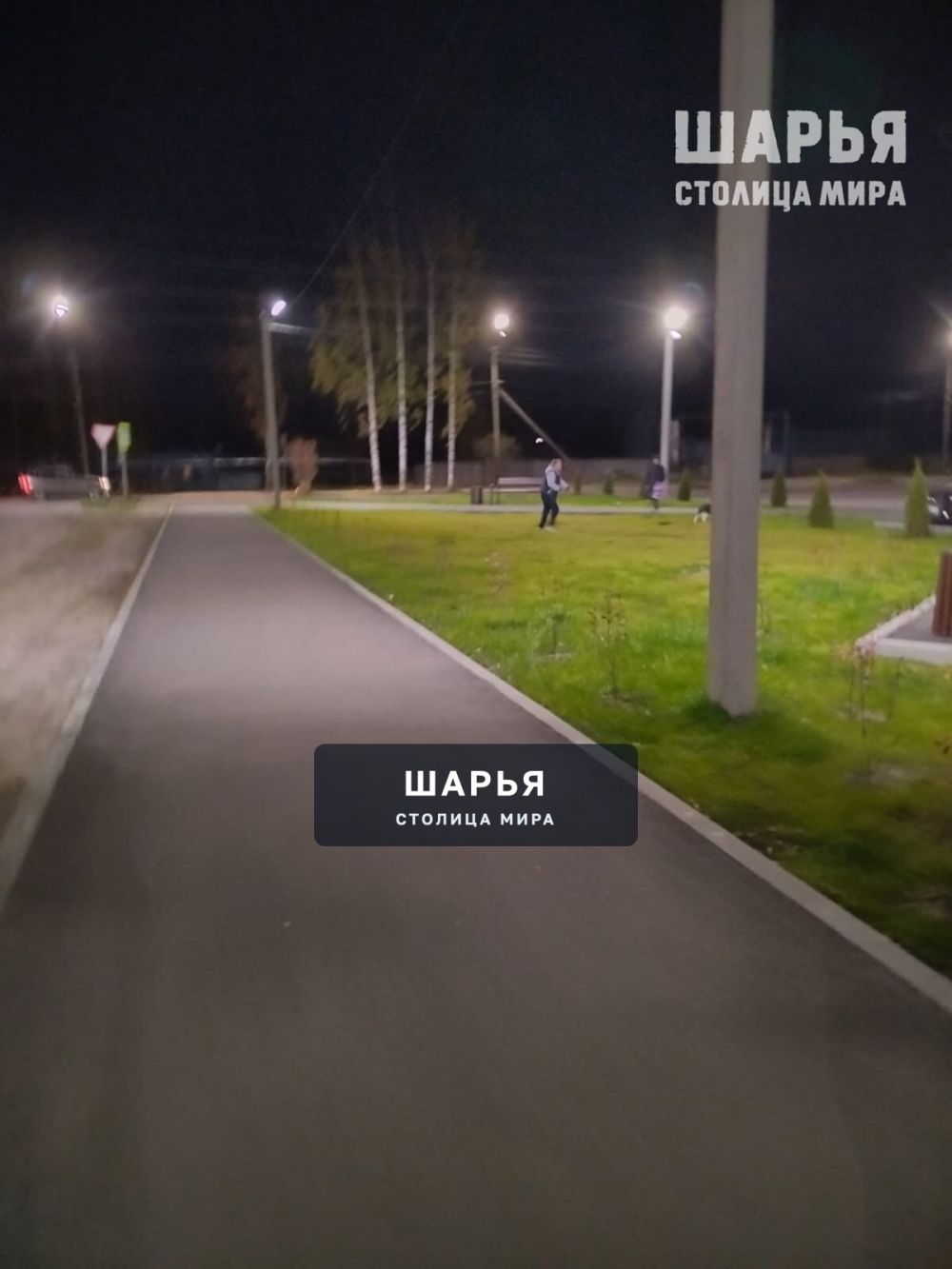 Не для собак, а для жителей и их детей — Шарья — фото 2