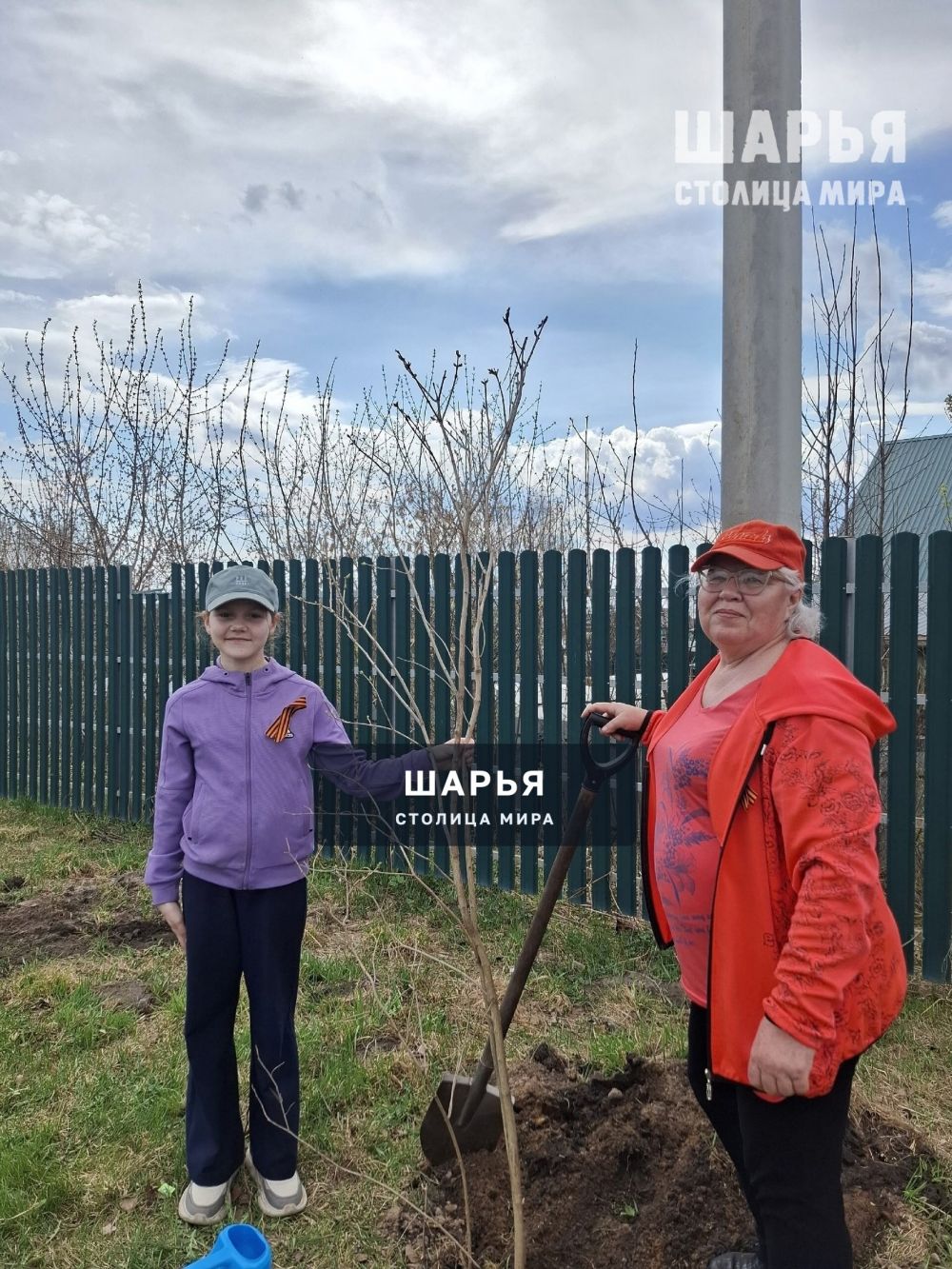 Шарьинцы присоединились к акции "Сад памяти" — Шарья — фото 7