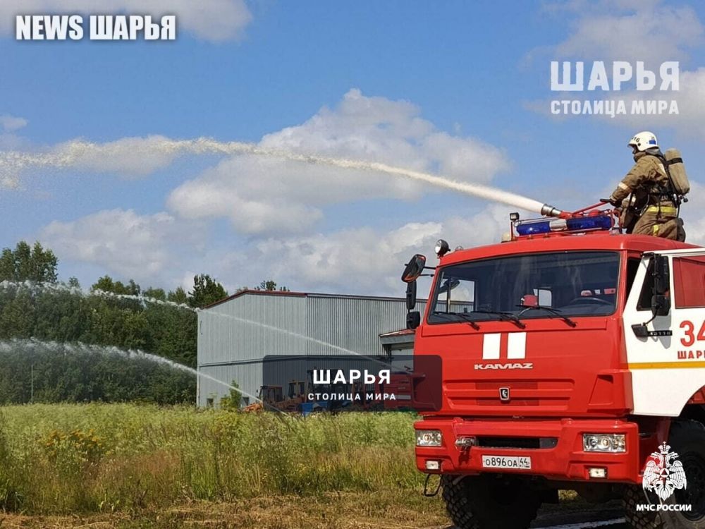 В Шарье на одной из лесопилок загорелся штабель круглого леса — Шарья — фото 2