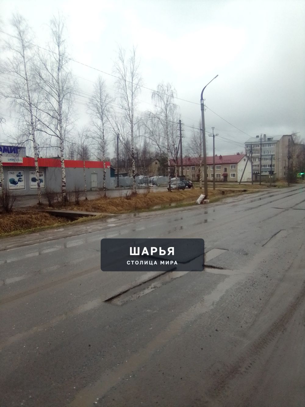 Публикация «Дорожные вредители» — Шарья — фото 6