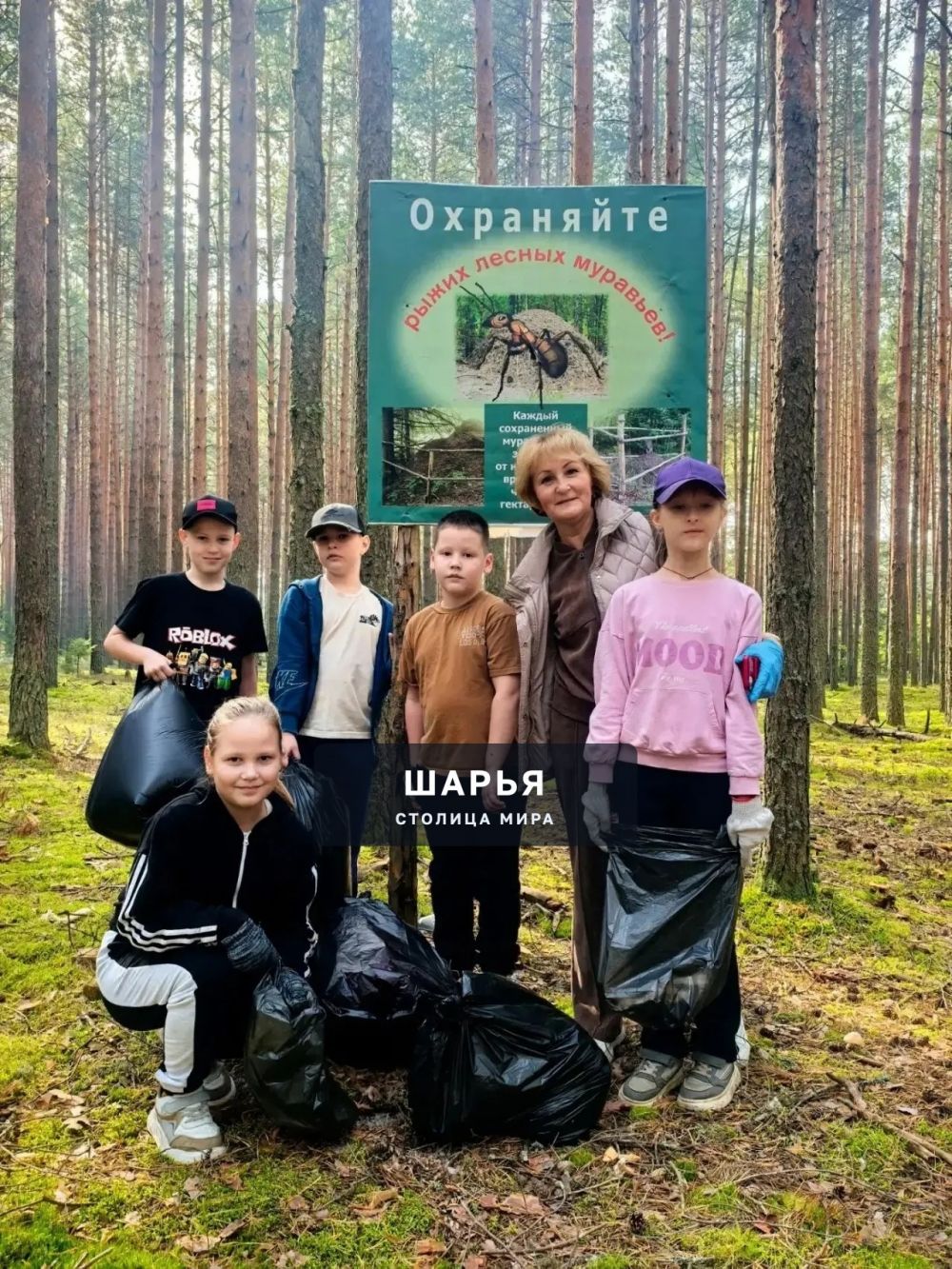 Шарьинцы за сохранение леса — Шарья