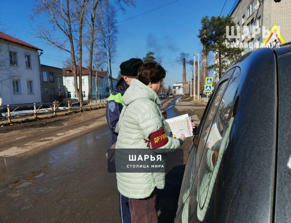Госавтоинспекторы Шарьи и общественники напомнили водителям о безопасности детей в транспорте — Шарья
