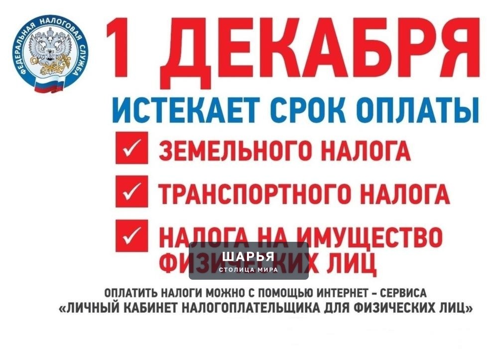 Менее двух месяцев: жителям напоминают об уплате имущественных налогов — Шарья — фото 2