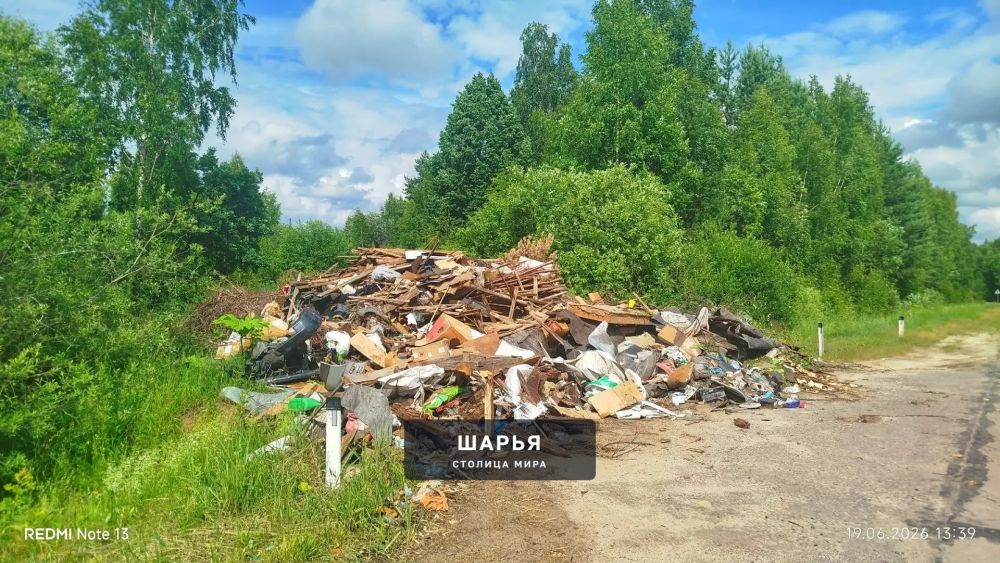 Шарьинский и Поназыревский районы "утопают" в мусоре — Шарья — фото 3