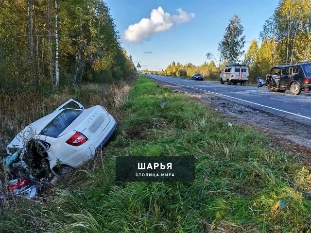 Мужчина погиб в ДТП в Шарьинском районе — Шарья — фото 5