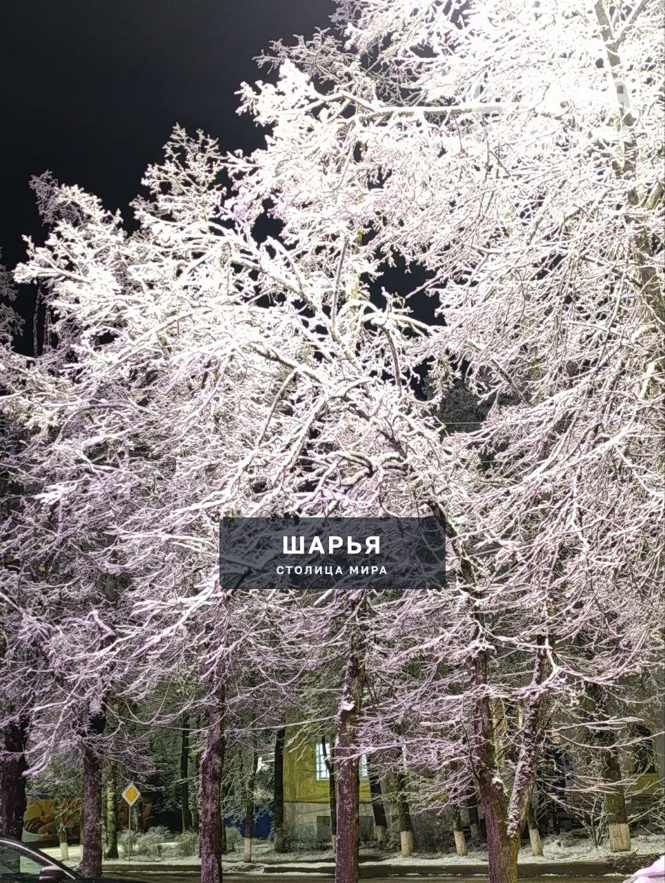 Ноябрьская зимушка-зима. Красота неописуемая — Шарья — фото 3