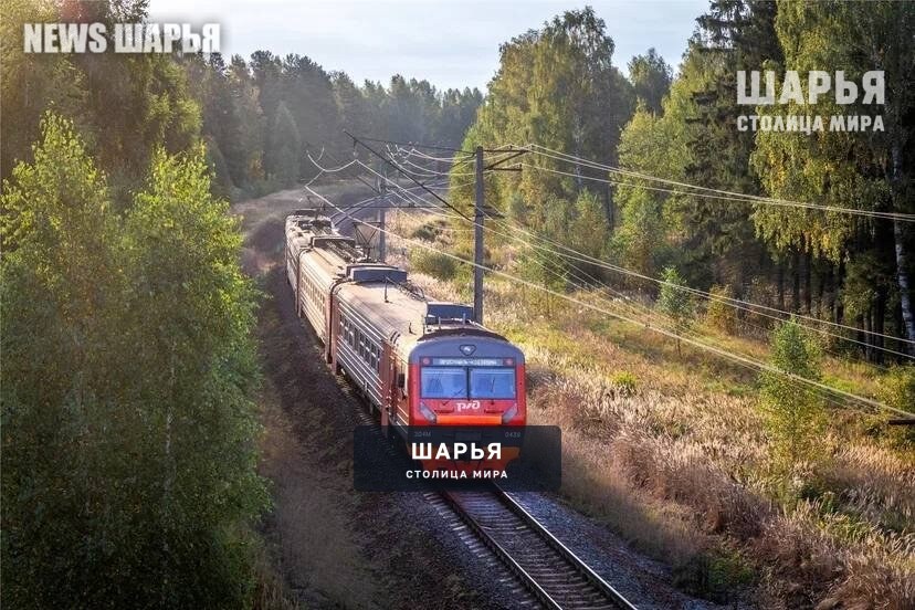 Северная железная дорога информирует об изменениях в расписании Костромской области — Шарья