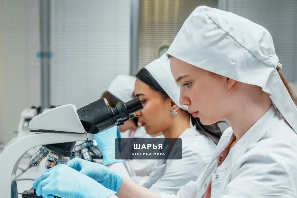 В российских вузах завершился приём заявлений на бюджетные места — Шарья