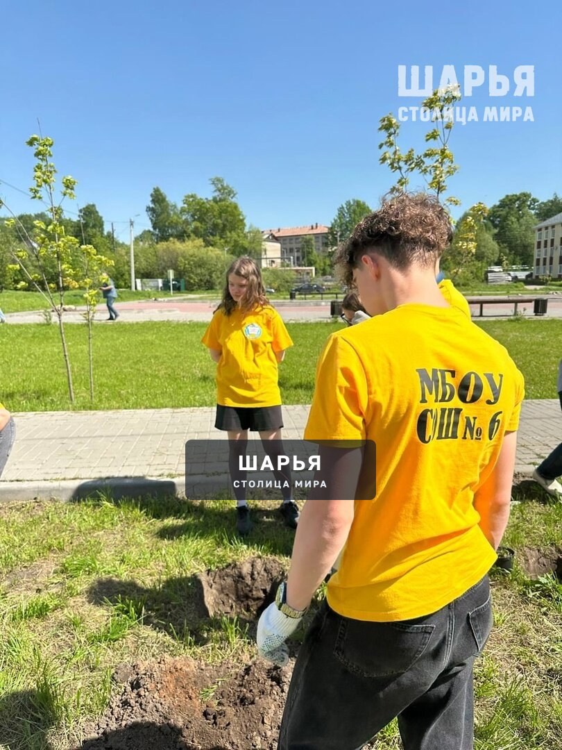 Память сохраняем на века — Шарья — фото 6