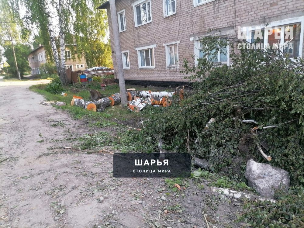 Деревья рубят - щепки летят — Шарья