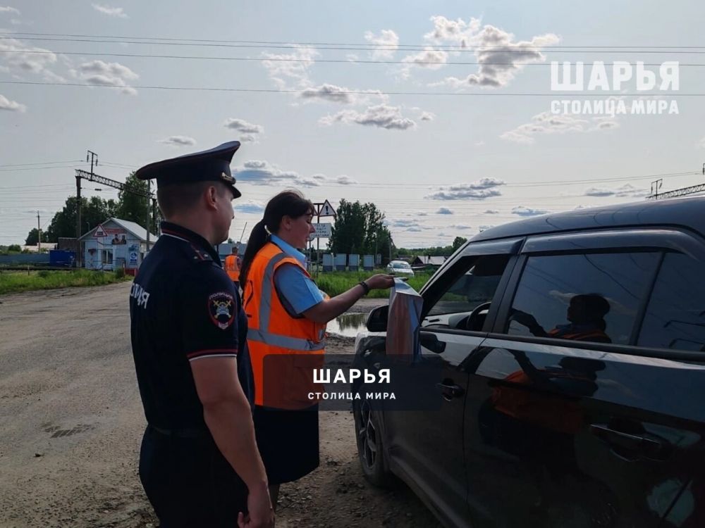 Профилактика может быть не просто полезна, но и приятна — Шарья — фото 3