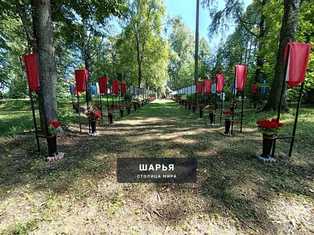 Аллея славы героев, погибших в ходе проведения СВО, вновь пополнилась новыми именами — Шарья — фото 4