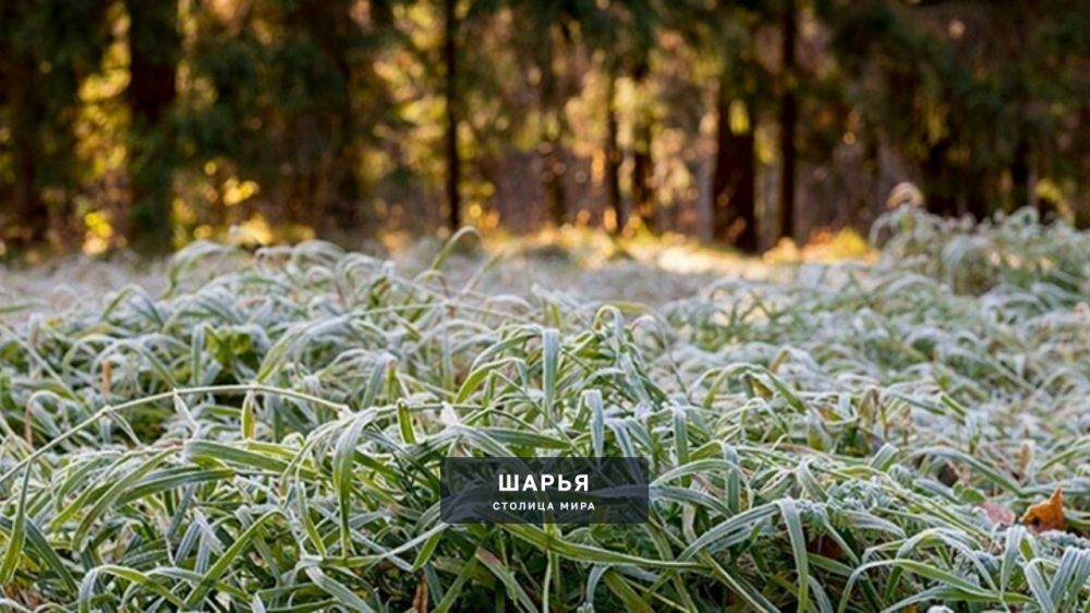 Зимние холода нагрянут в Шарью ночью — Шарья