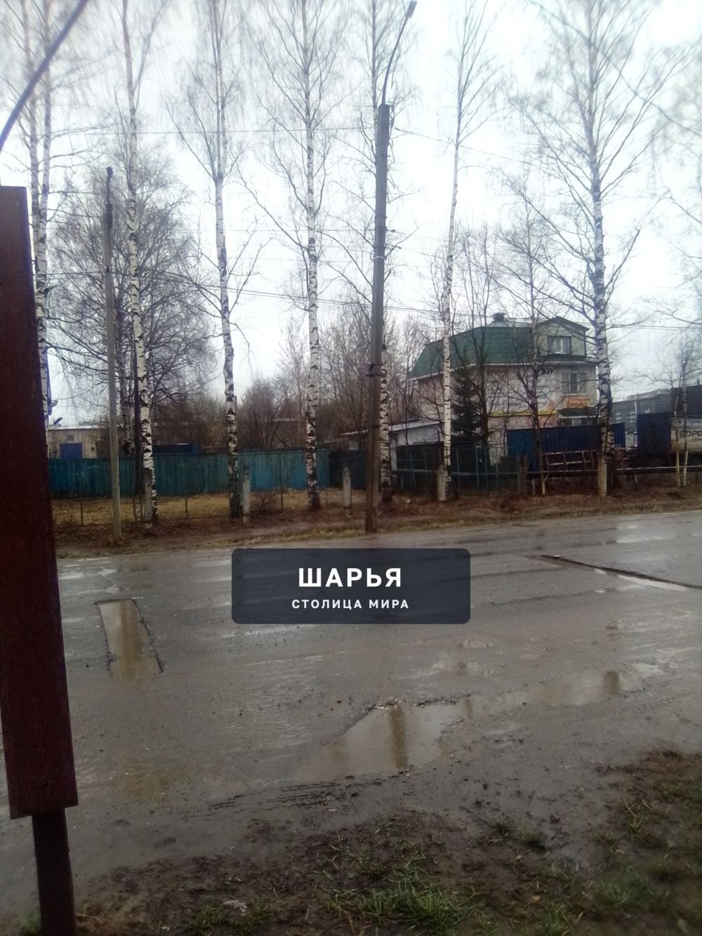 Публикация «Дорожные вредители» — Шарья — фото 4
