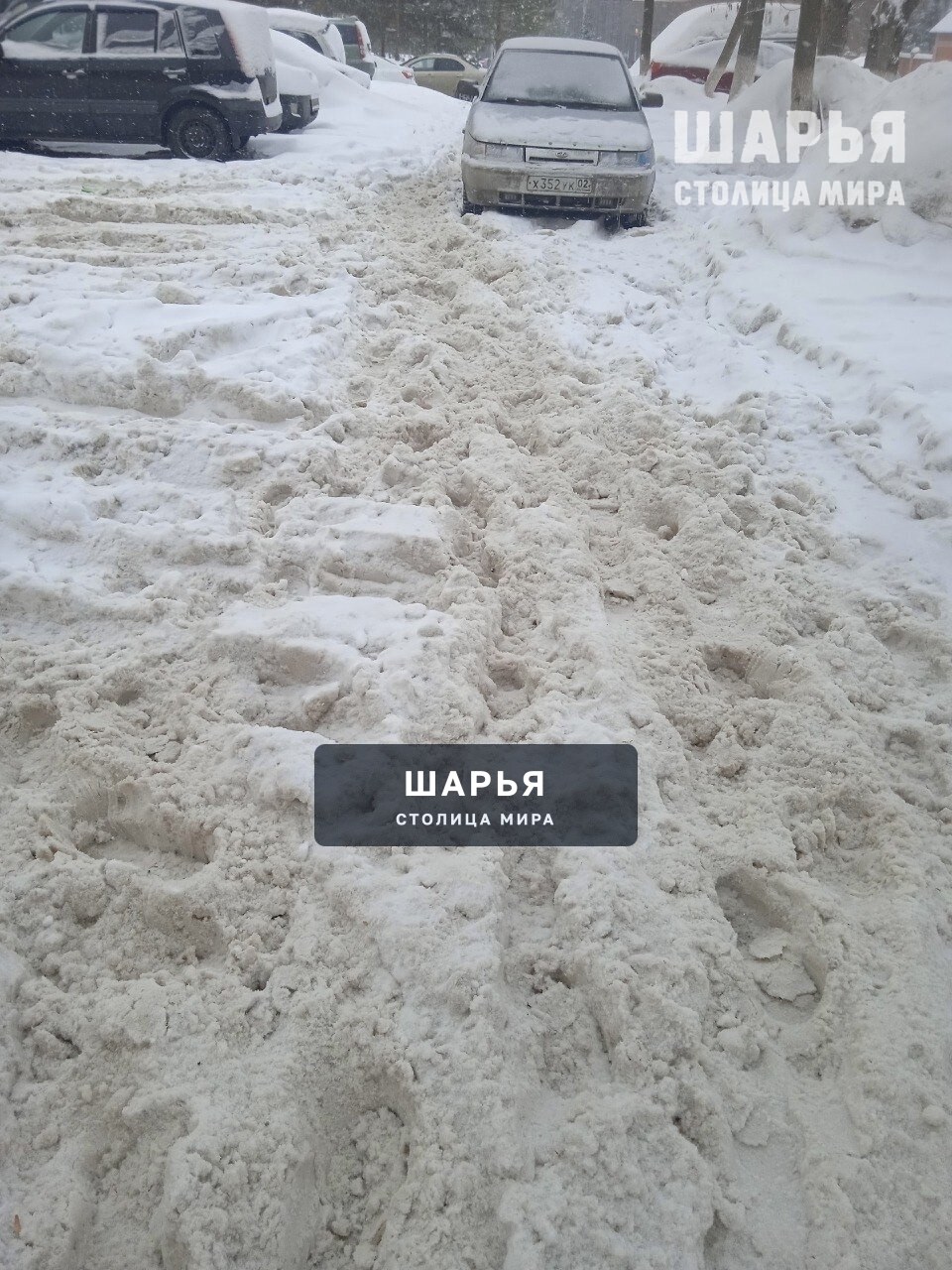 Качество расчистки тротуаров и дорог контролирует прокуратура — Шарья