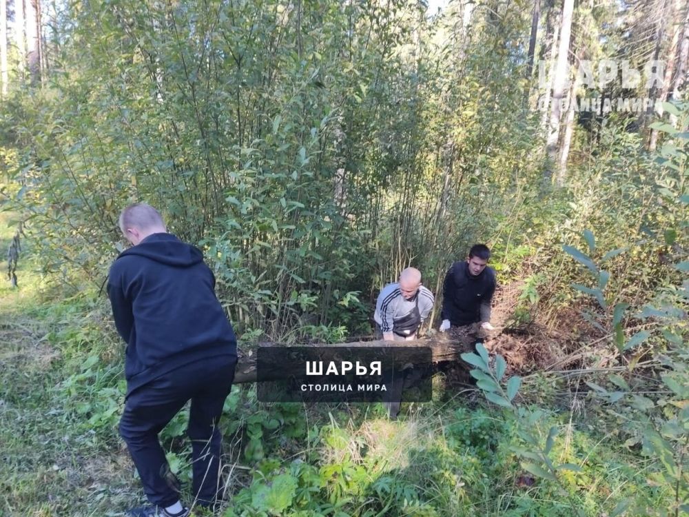 Субботник прошел в шарьинском Городском парке культуры и отдыха — Шарья — фото 4