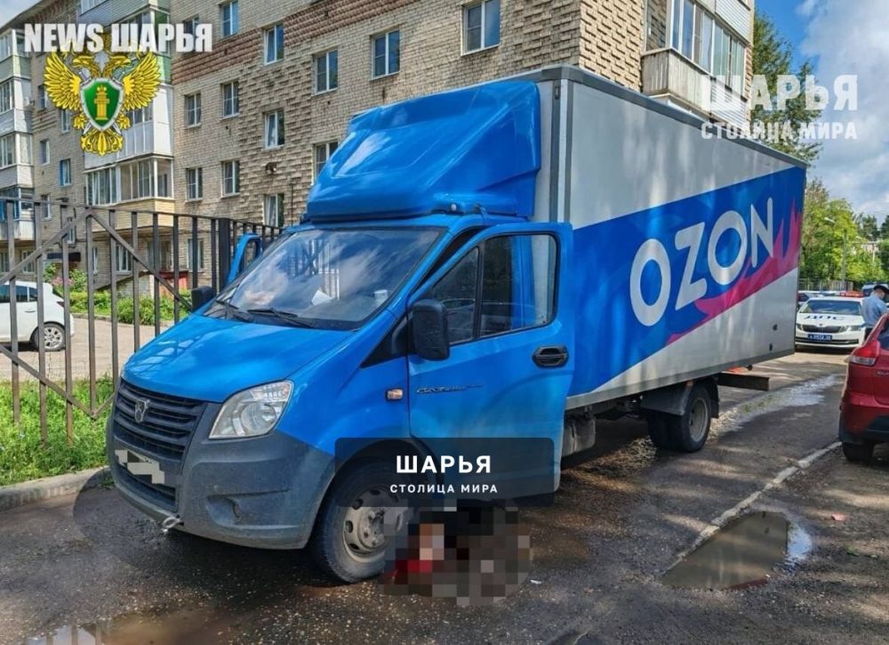 В Костроме водитель газели "OZON" насмерть задавил пожилую женщину — Шарья
