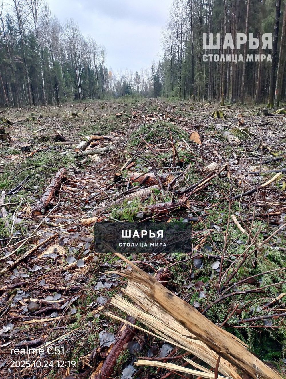 А законно ли это? — Шарья — фото 3