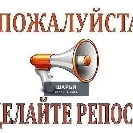 В районе 4-5 квартала появился домашний ухоженый котик — Шарья — фото 2