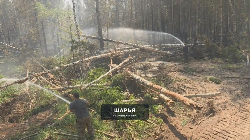 В Шарьинском районе огнеборцы ликвидируют лесной пожар — Шарья