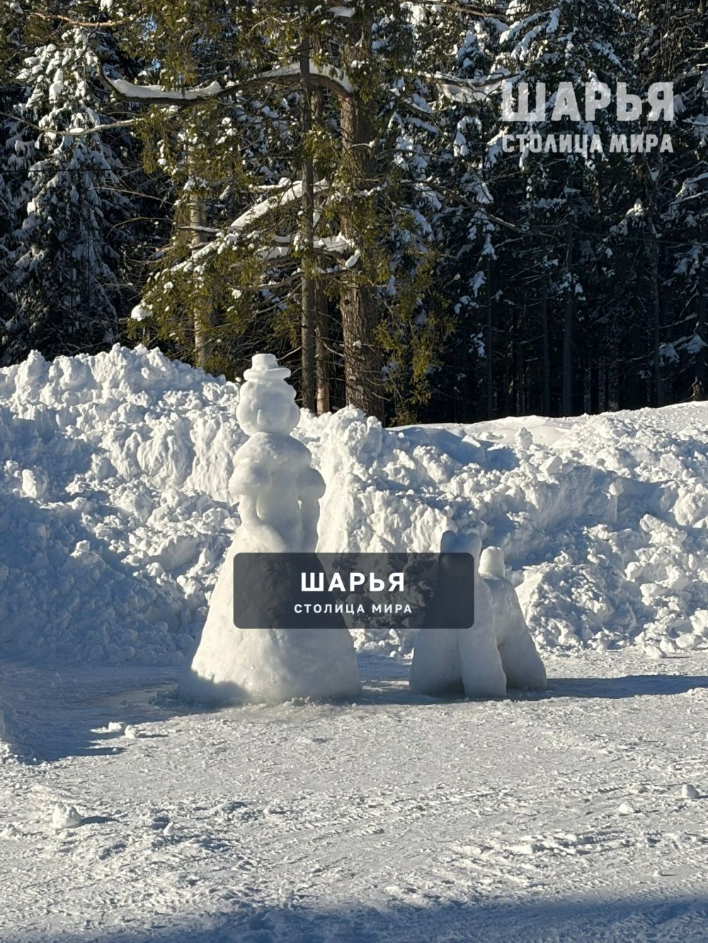 Зима в городском парке — Шарья — фото 3