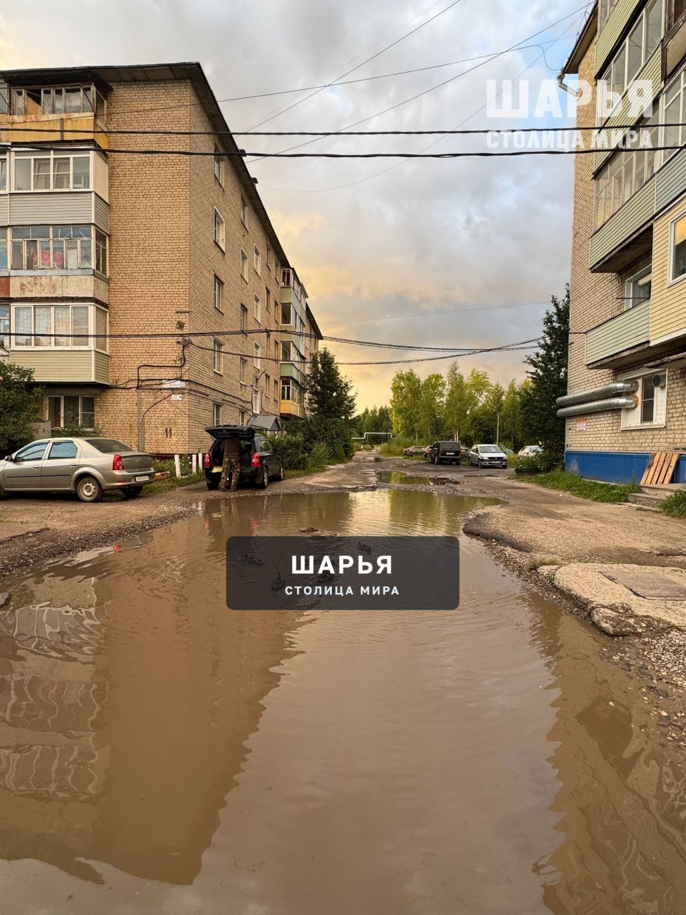 Утки во всех лужах города — Шарья — фото 4