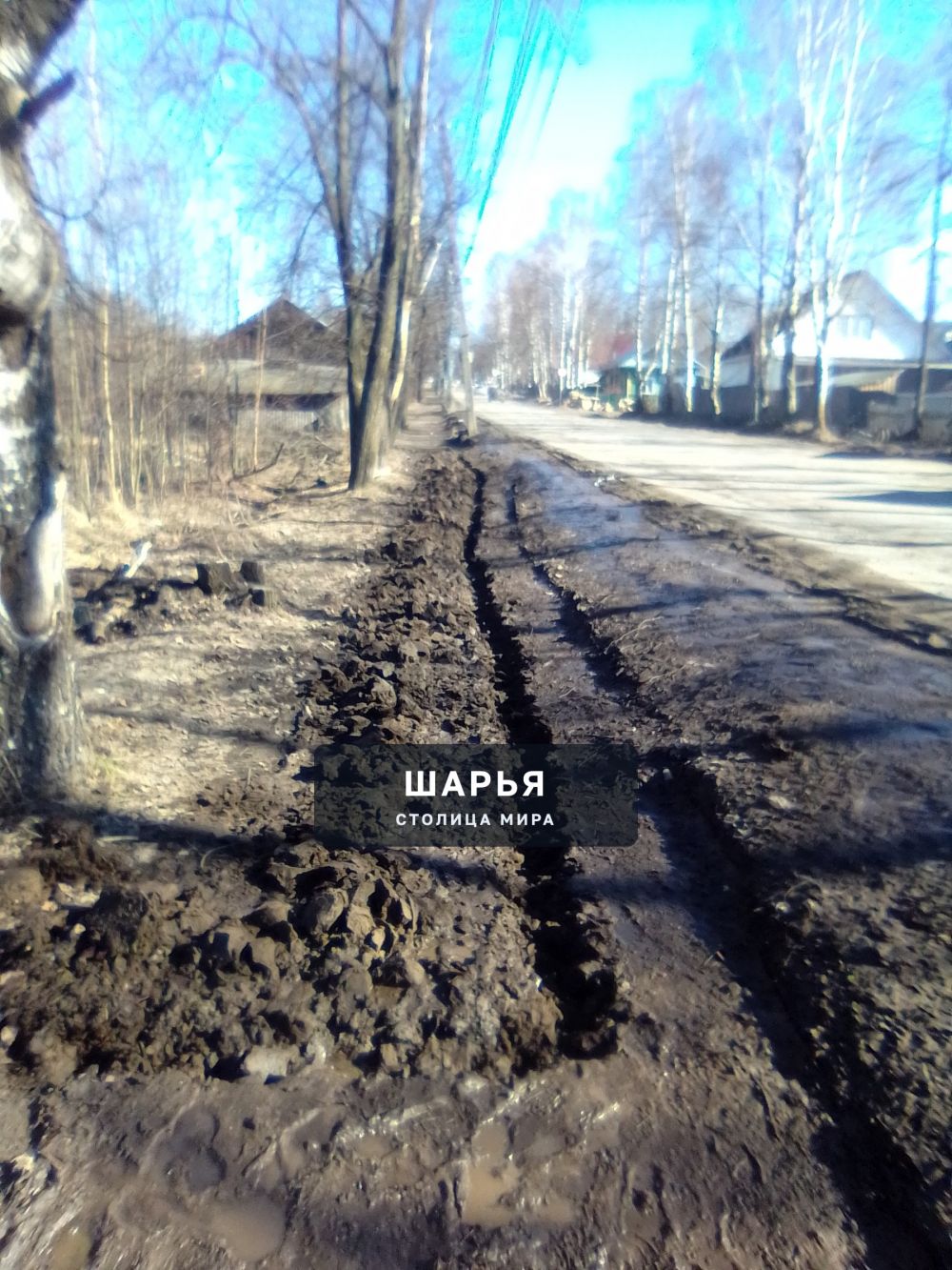 Публикация «Гражданин города Шарья» — фото 4