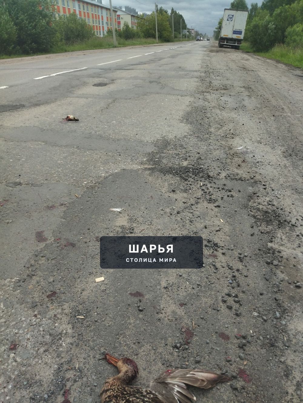 Урод на Калине, который ехал у заправки Корегина — Шарья