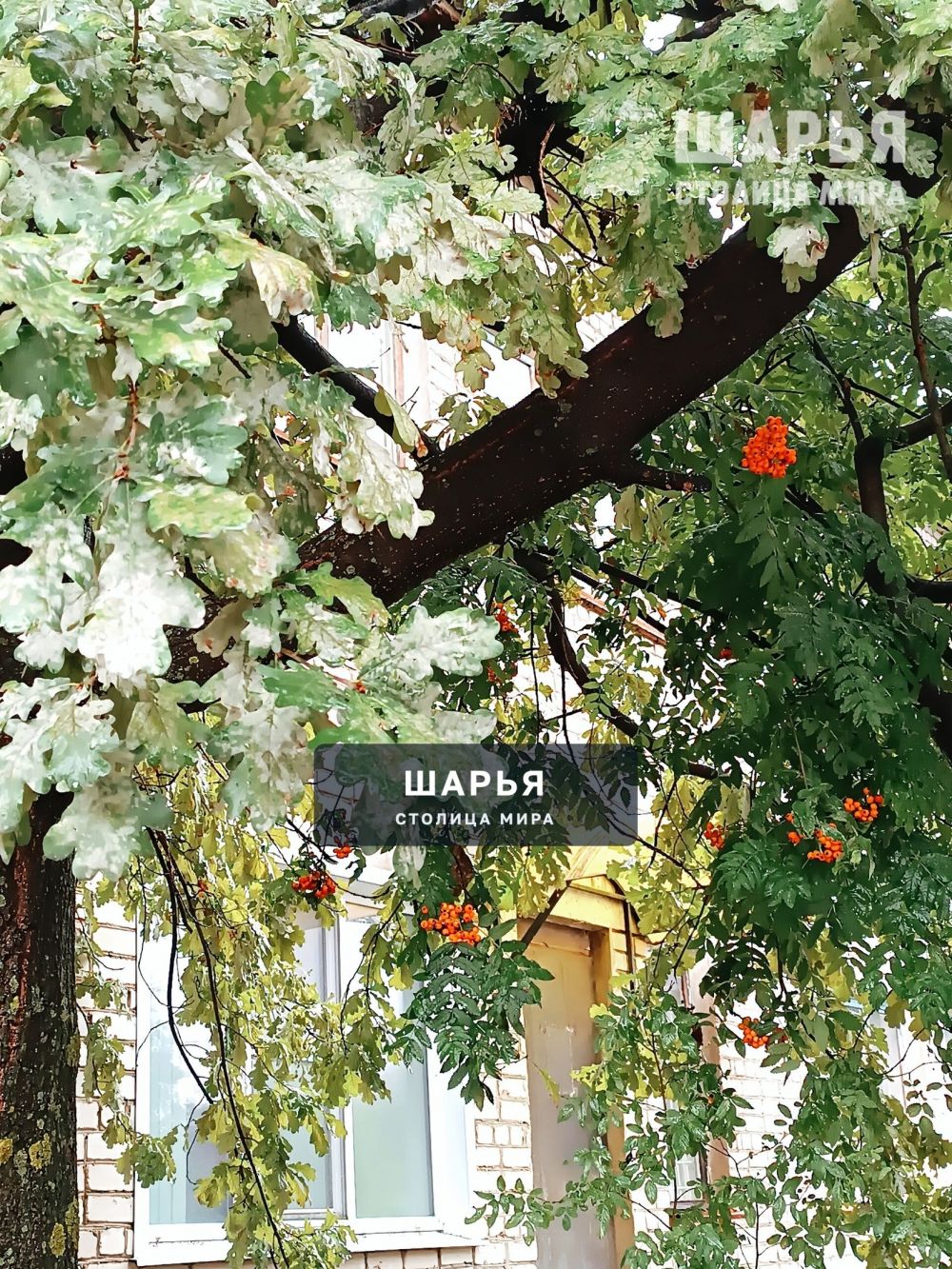 Уютная Шарья