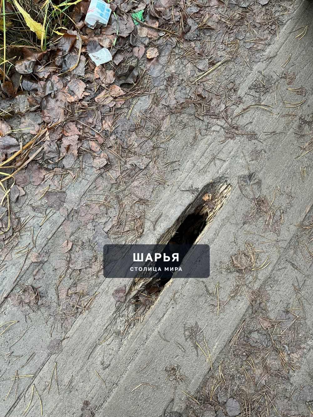 Администрация городского округа г.Шарья хотелось бы узнать, кто ответственный за данный… — фото 4