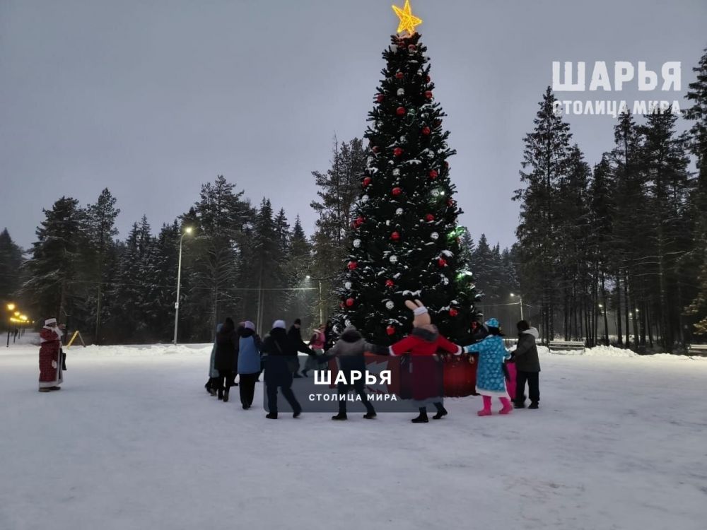 Зимний сезон в Городском парке Шарьи открыт — Шарья — фото 5