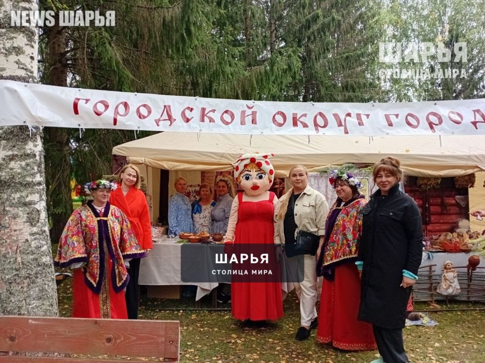 Шарья приняла участие в областном фестивале-ярмарке — фото 2