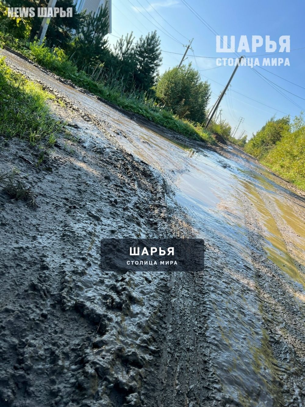 По колено в грязи стало нормой для Шарьи — Шарья — фото 5