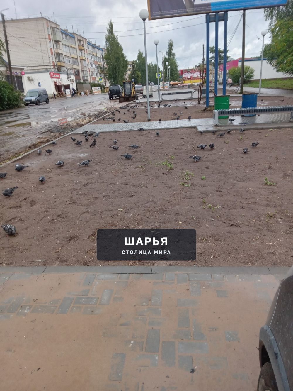 Сквер на Садовой. Голубинный пир — Шарья