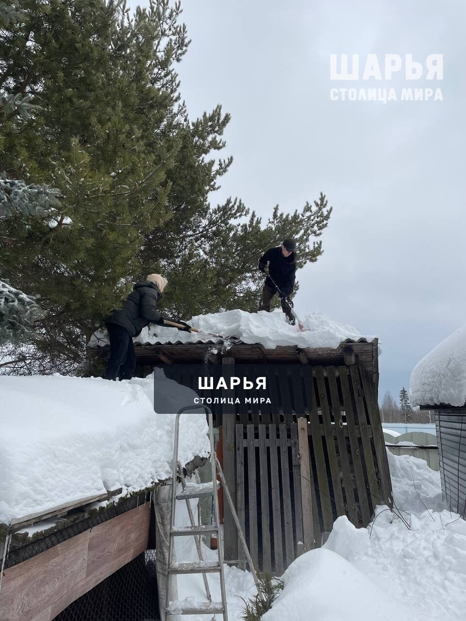 Студенты Шарьинского медицинского колледжа помогают семьям участников СВО — Шарья — фото 5