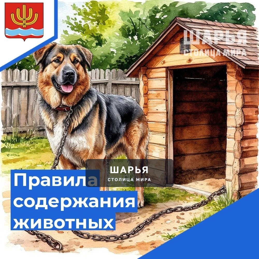 Владельцев собак в Шарье призывают исключить самовыгул собак — Шарья