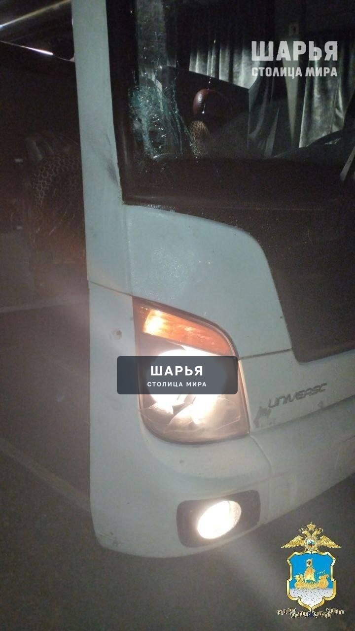 На костромской трассе насмерть сбили пешехода — Шарья — фото 2