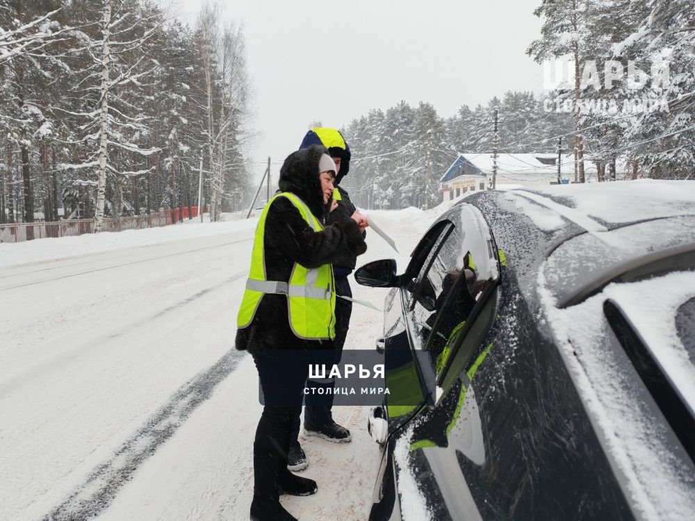 Детский омбудсмен Шарьи вышел на улицы города — Шарья — фото 2