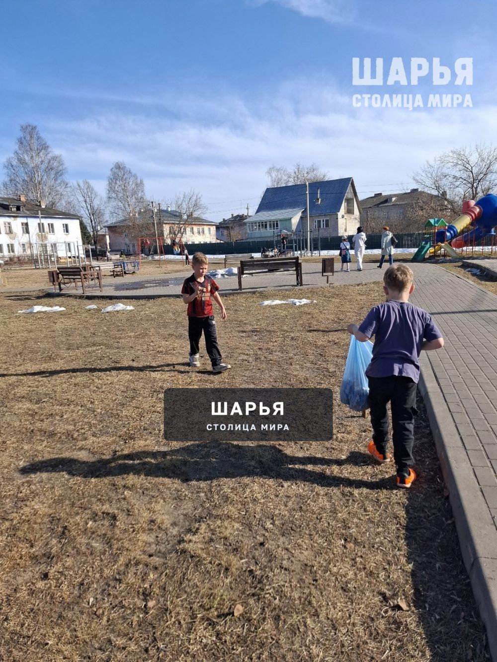 8 апреля — День экологии: сделаем наш мир чище и зеленее! — Шарья — фото 4
