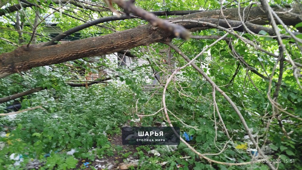 Посетил сегодня городской рынок — Шарья — фото 2