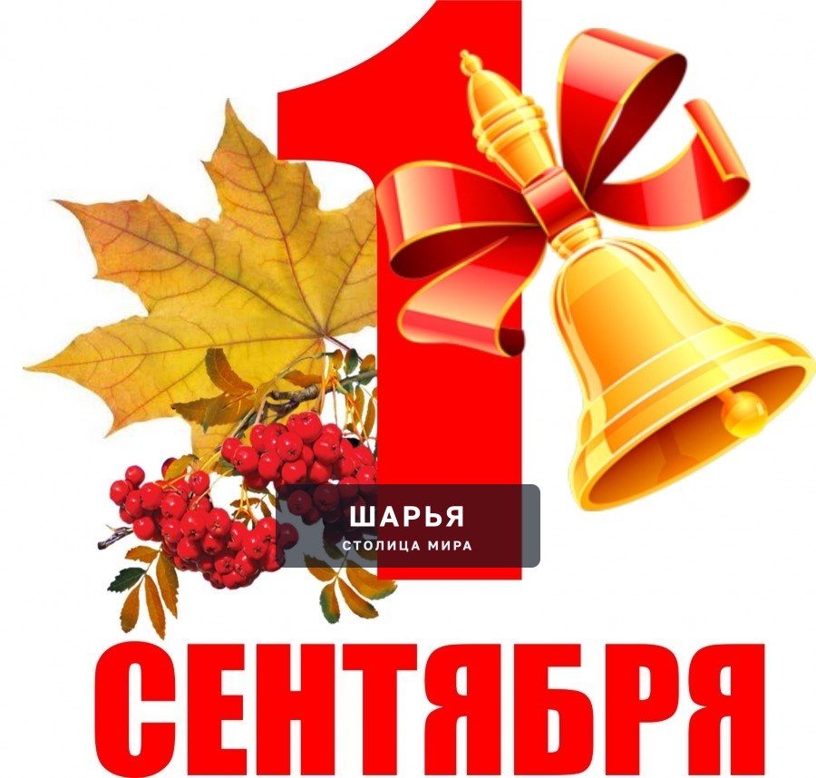 С началом нового учебного года! — Шарья