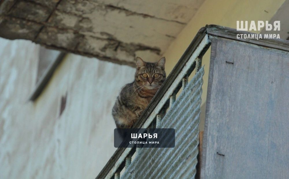 А вот и зима подкралась. Сколько показывает ваш термометр? — Шарья