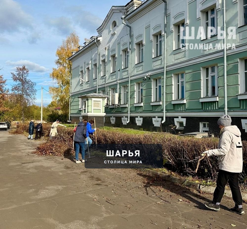 «Осеннее благоустройство» — Шарья