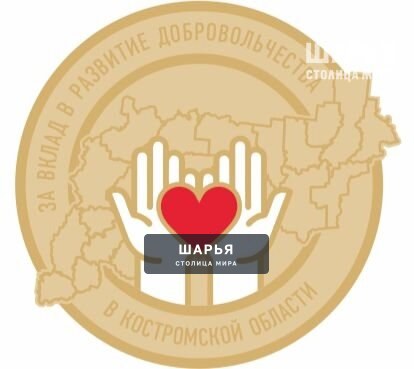 За вклад в развитие добровольчества — Шарья