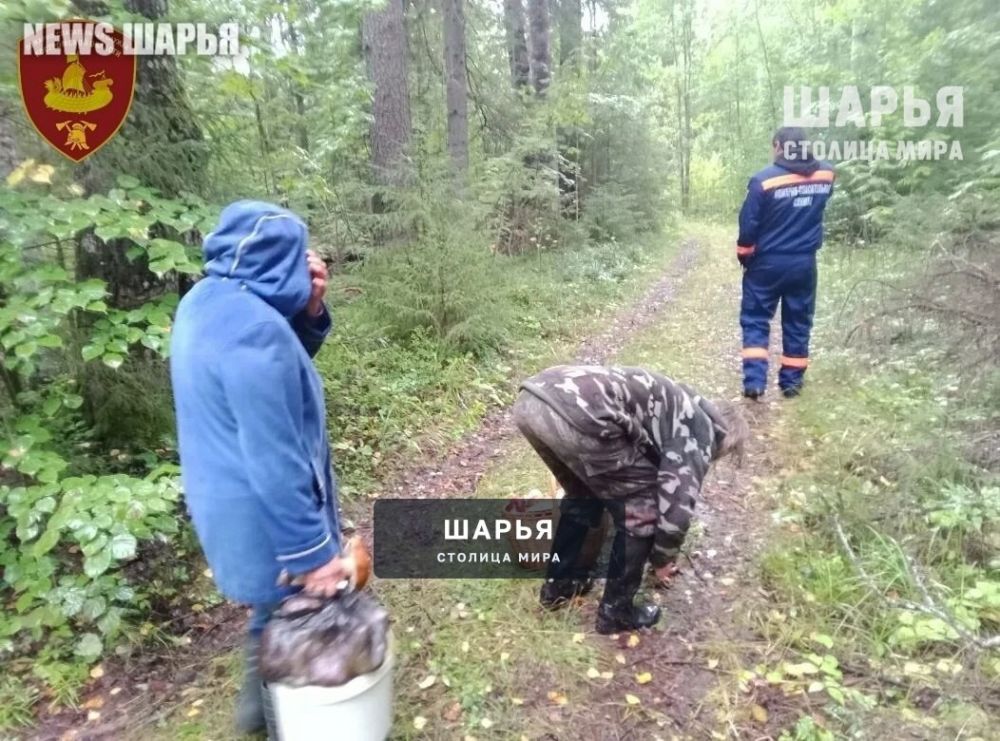 Найдены и живы! — Шарья