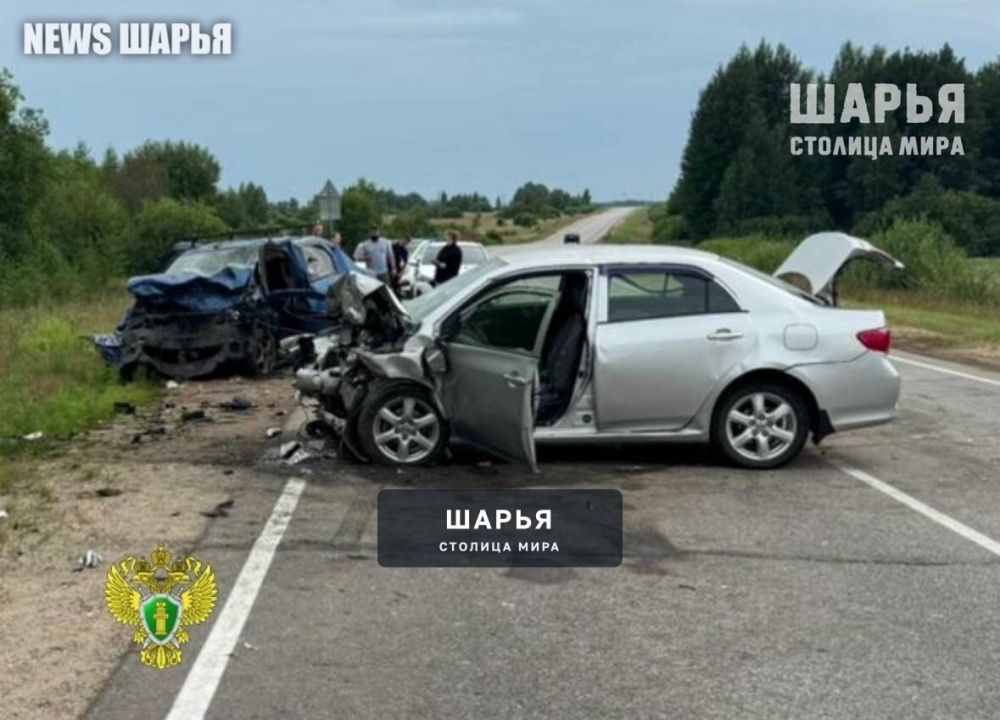 Очередное смертельное ДТП в регионе — Шарья — фото 3