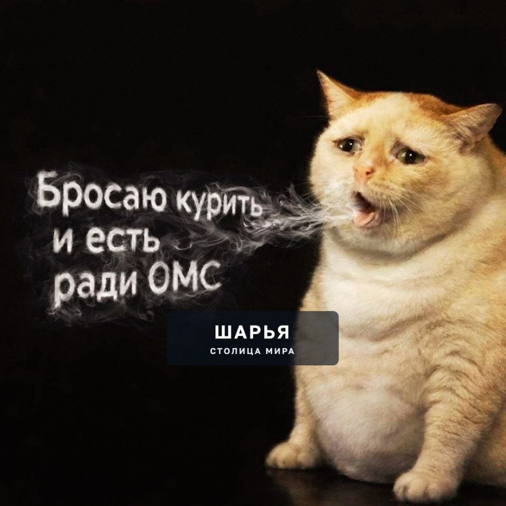 Толстым и курящим могут ПОДНЯТЬ взносы на медицину в России — людям, которые не ведут здоровый… — Шарья