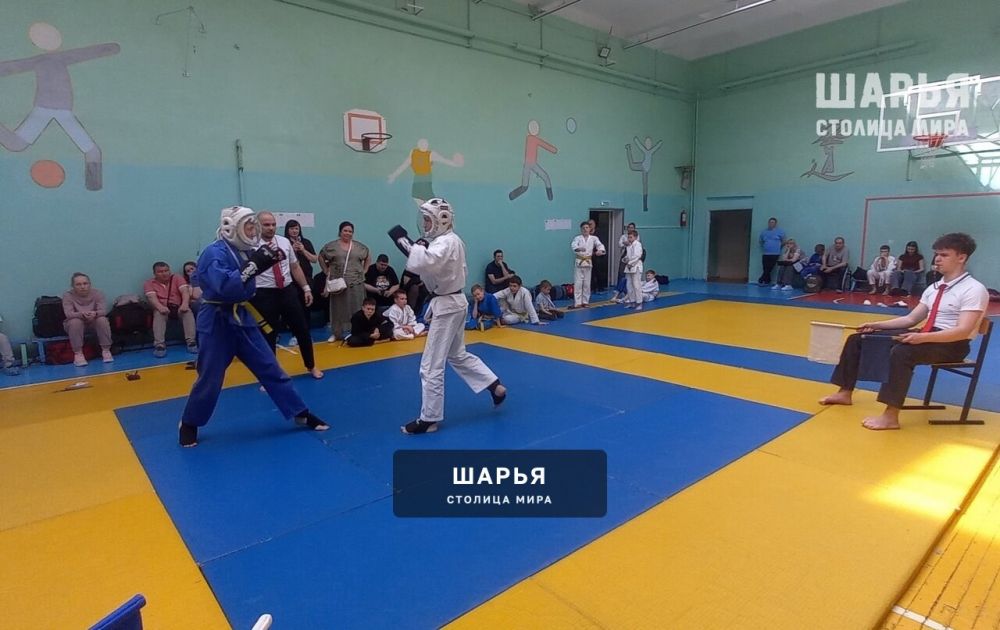 Шарьинцы приняли участие в Благотворительном фестивале боевых искусств филиала РСБИ… — Шарья — фото 2