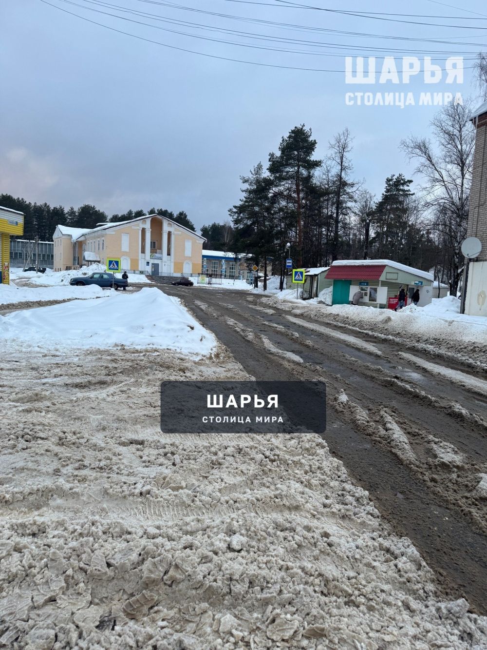 Весна пришла 1 марта — Шарья — фото 2